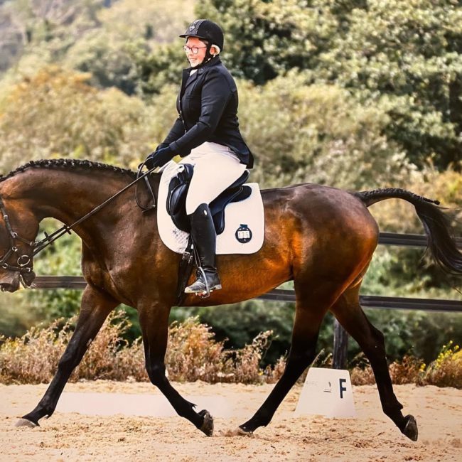 Dressage Addict - Online Dressage classes - British Dressage - The ...