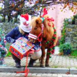 Billy Jo dressed as Santa holding. Present for Pumpkin the chestnut Shetland pony whose is all dressed up in his xmas fancy dress